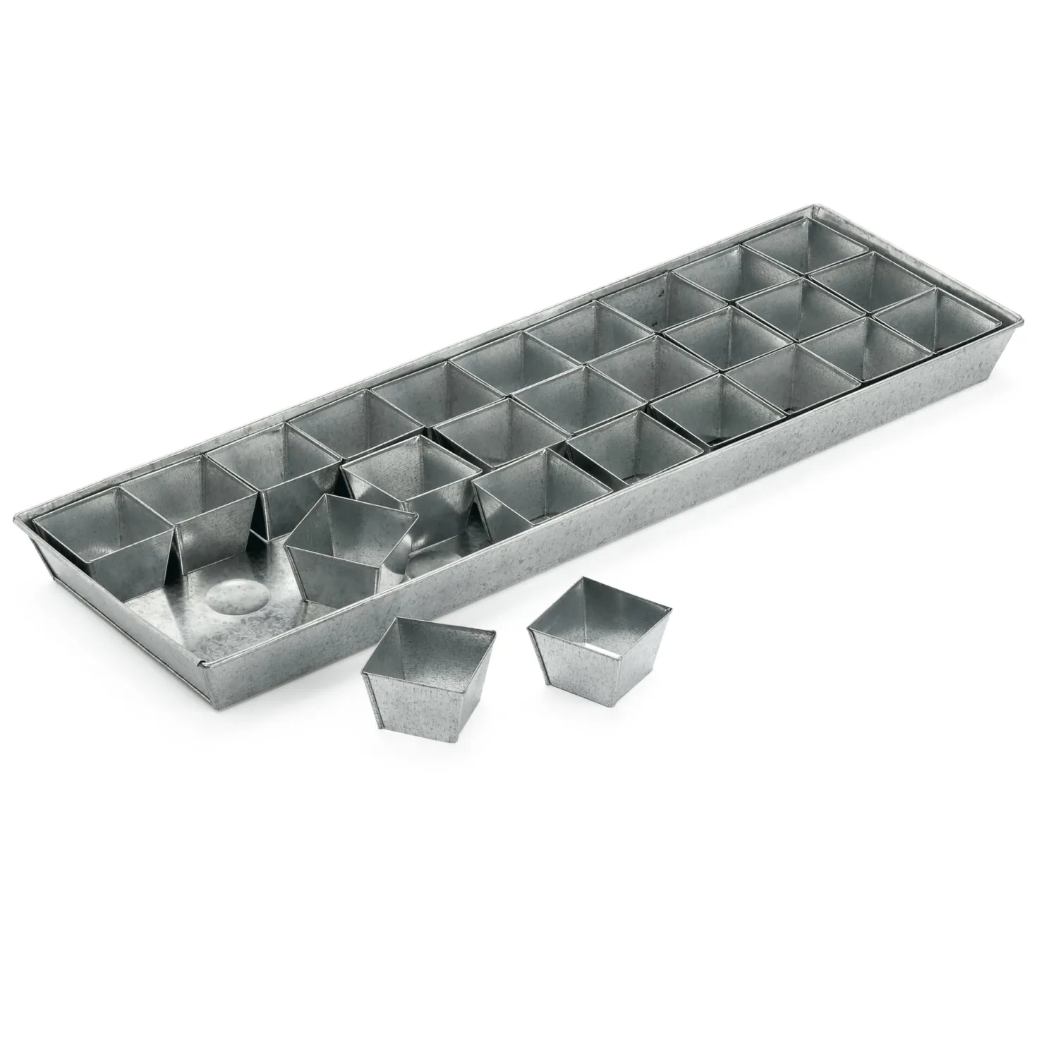 Anzuchtplatte mit Einzeltöpfen