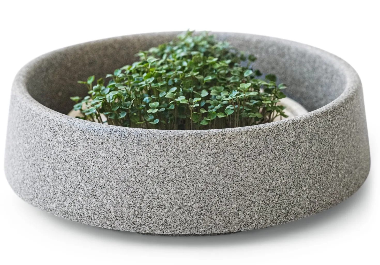 Anzuchtschale für Microgreens