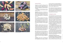 Ausgegraben - Süßkartoffel, Yacon & Co.