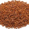 Bio-Saatgut Microgreens