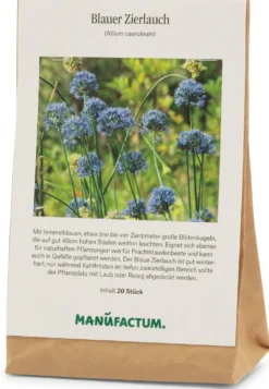 Blauer Zierlauch