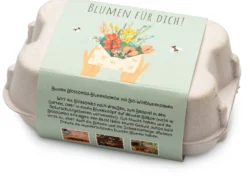 Blumenkugeln im Geschenkkarton
