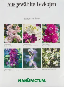 Blumensamen Ausgewählte Levkojen