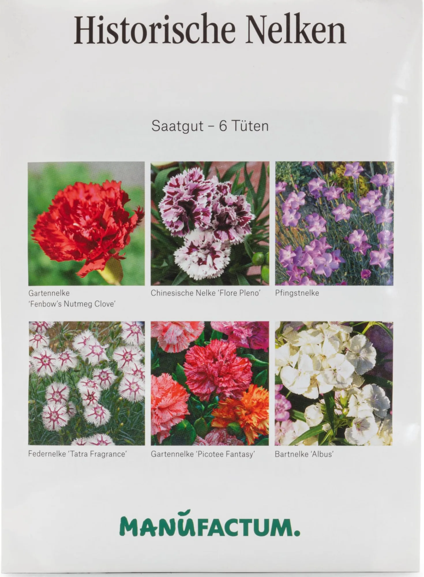 Blumensamen Historische Nelken