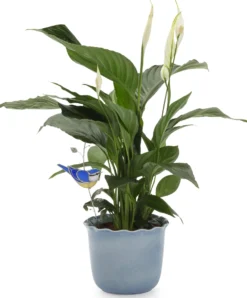 Blumenstecker Glas
