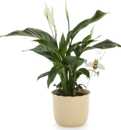 Blumenstecker Glas