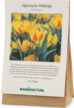Blumenzwiebeln Afghanische Wildtulpe