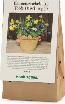 Blumenzwiebeln für Töpfe Mischung 2