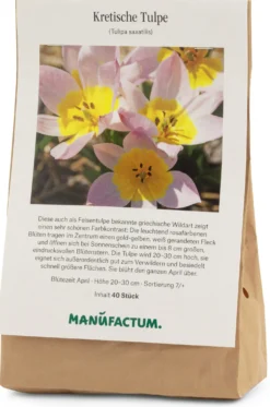 Blumenzwiebeln Kretische Tulpe