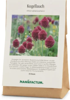 Blumenzwiebeln Kugellauch