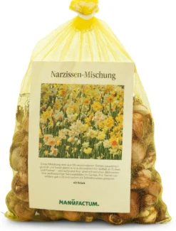 Blumenzwiebeln Narzissen-Mischung