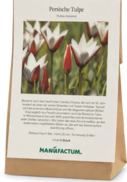 Blumenzwiebeln Persische Tulpe