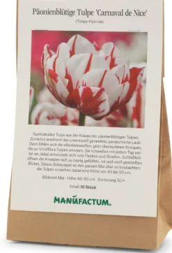 Blumenzwiebeln Päonienblütige Tulpe 'Carnaval de Nice'