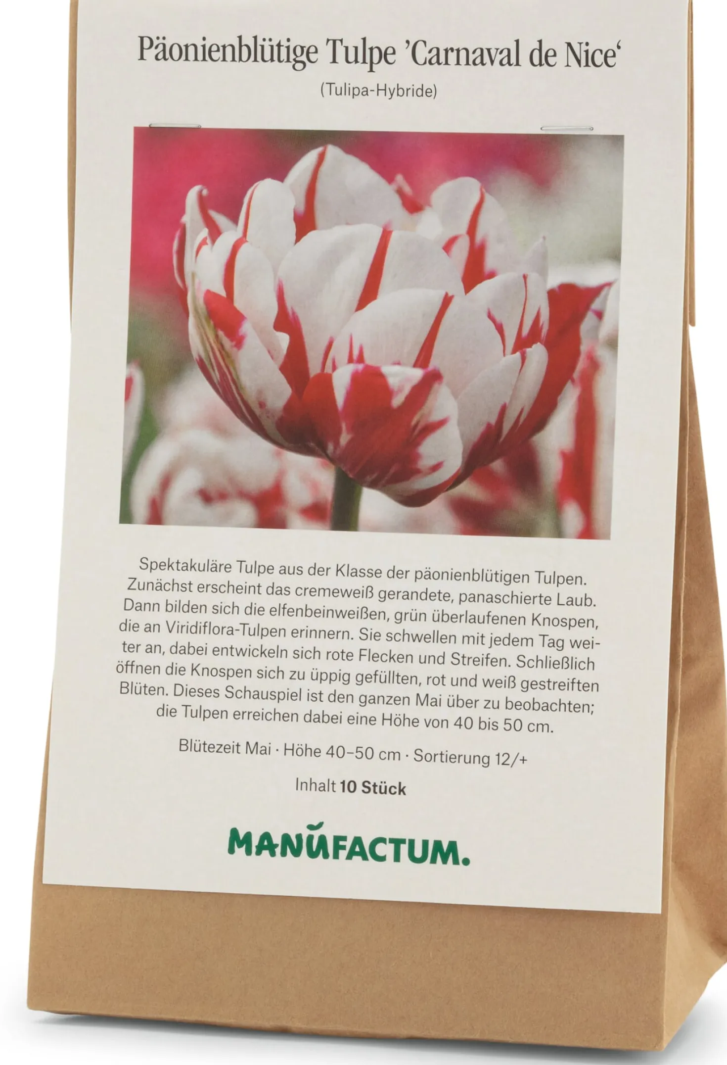 Blumenzwiebeln Päonienblütige Tulpe 'Carnaval de Nice'
