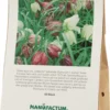 Blumenzwiebeln Schachbrettblume