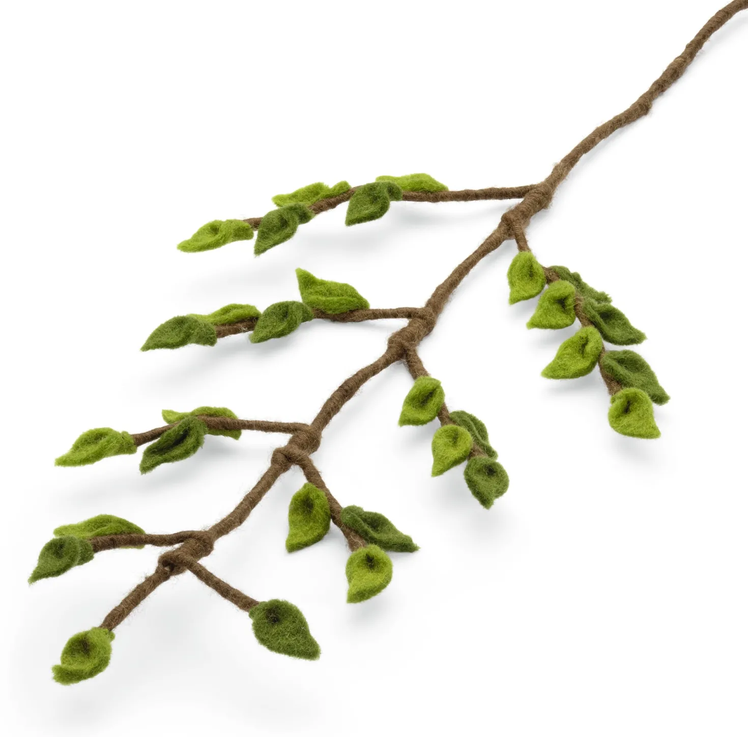 Buchenzweig Filz