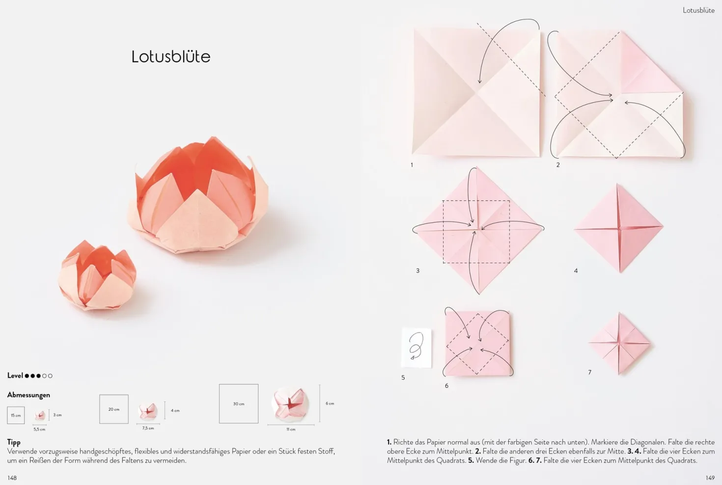 Das große Origami Buch - Faltkunst