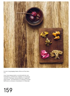 Das Noma-Handbuch Fermentation