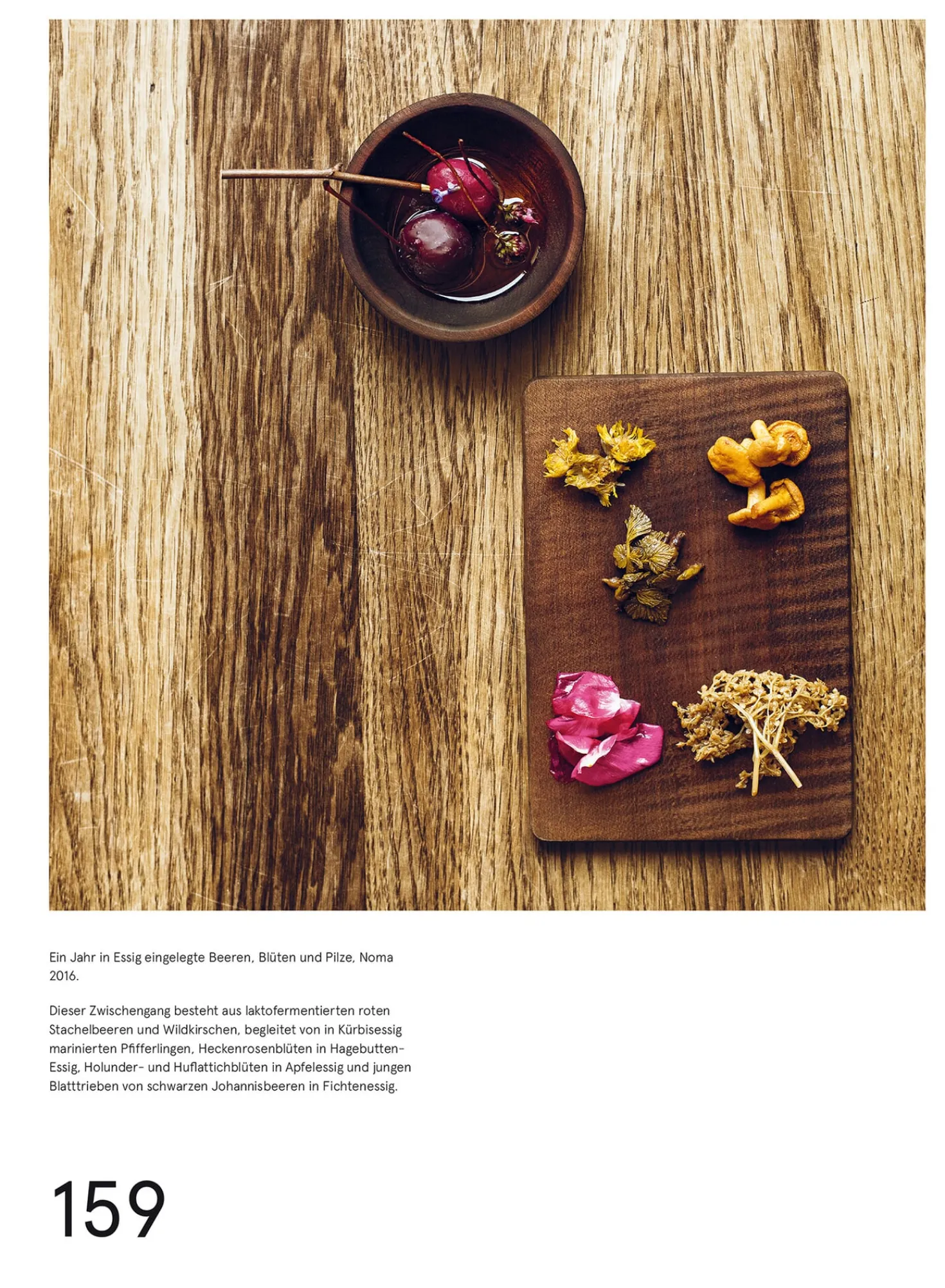 Das Noma-Handbuch Fermentation