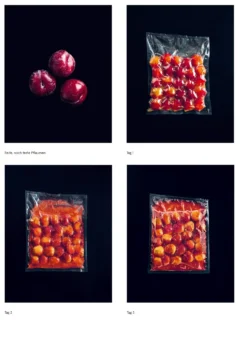 Das Noma-Handbuch Fermentation