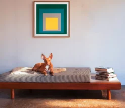Druck Josef Albers