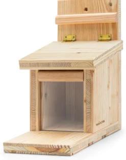 Eichhörnchen-Futterstation