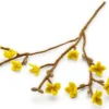 Forsythienzweig Filz
