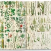 Geschenkpapier Pepin