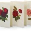Grußkarte Rosen
