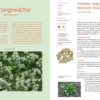 Handbuch Samengärtnerei