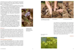 Handbuch Samengärtnerei