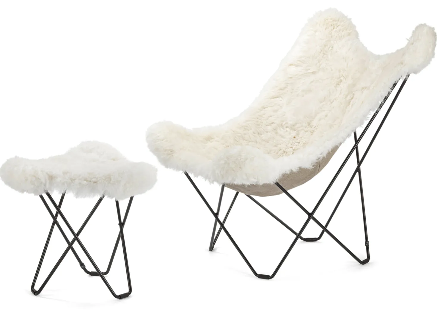 Hocker Mariposa Islandschaf