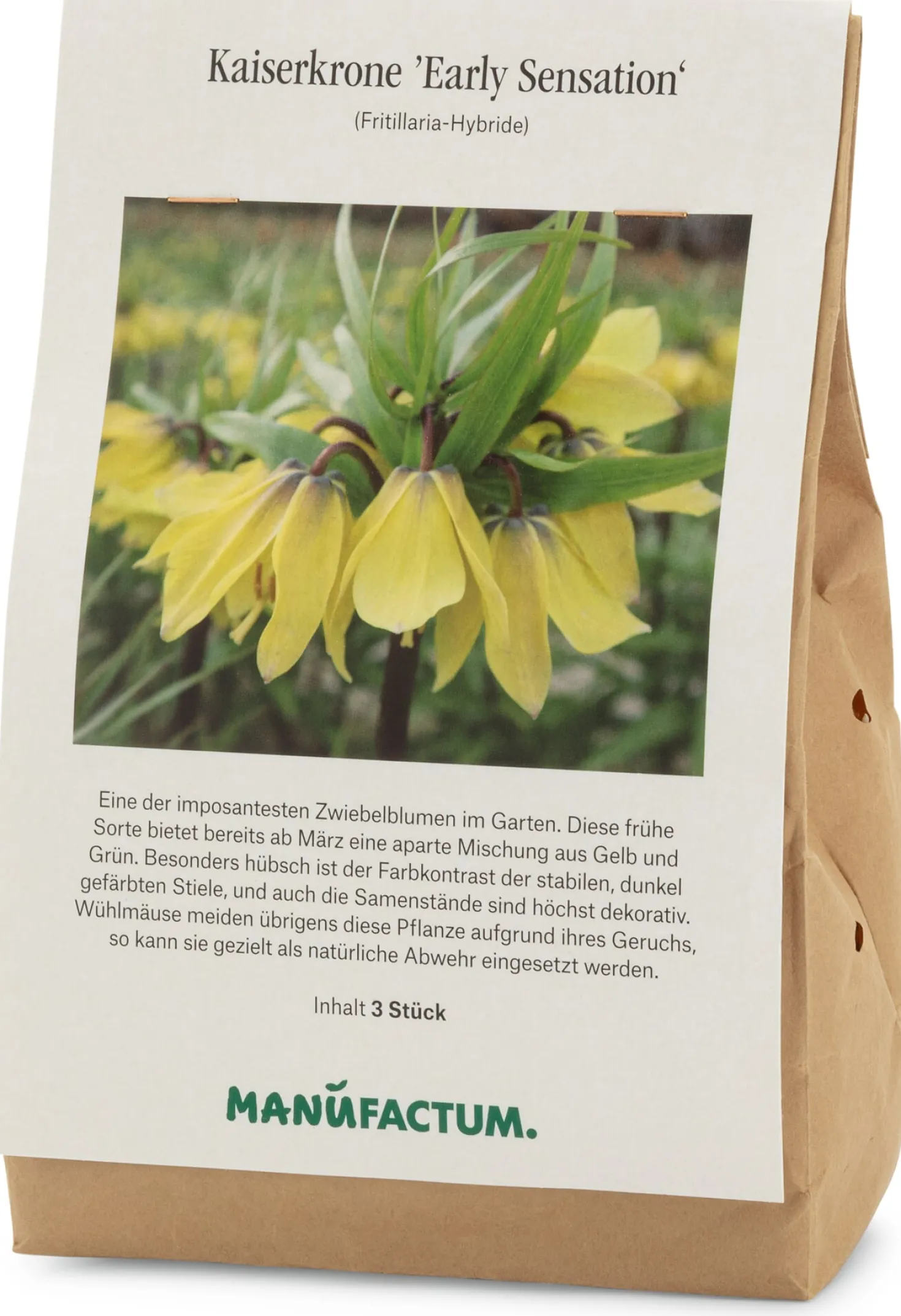 Kaiserkrone ’Early Sensation‘