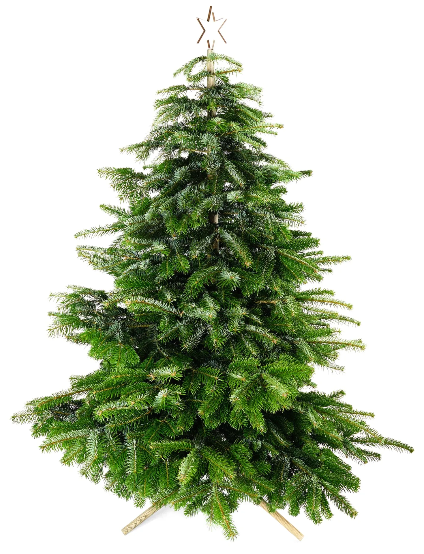 Keinachtsbaum® Stecktanne