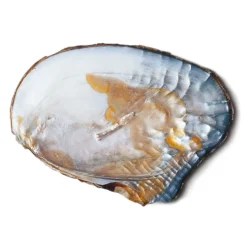 Kette Süßwasserperlen
