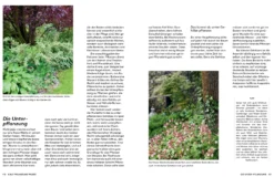 Kleine Bäume für den Garten