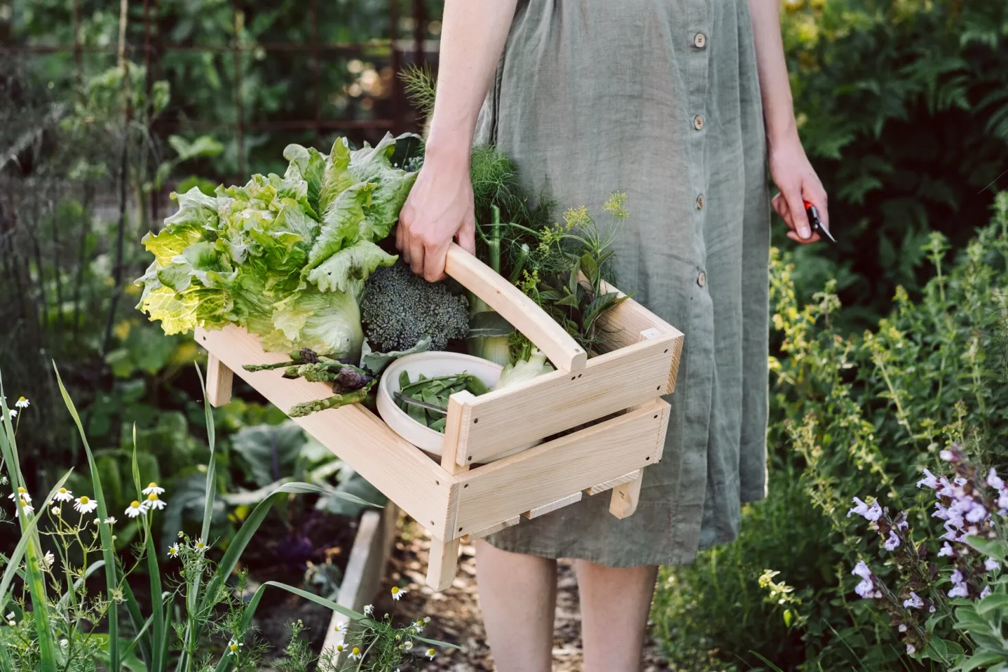 Kleine Gartenschere