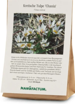 Kretische Tulpe ’Chania‘