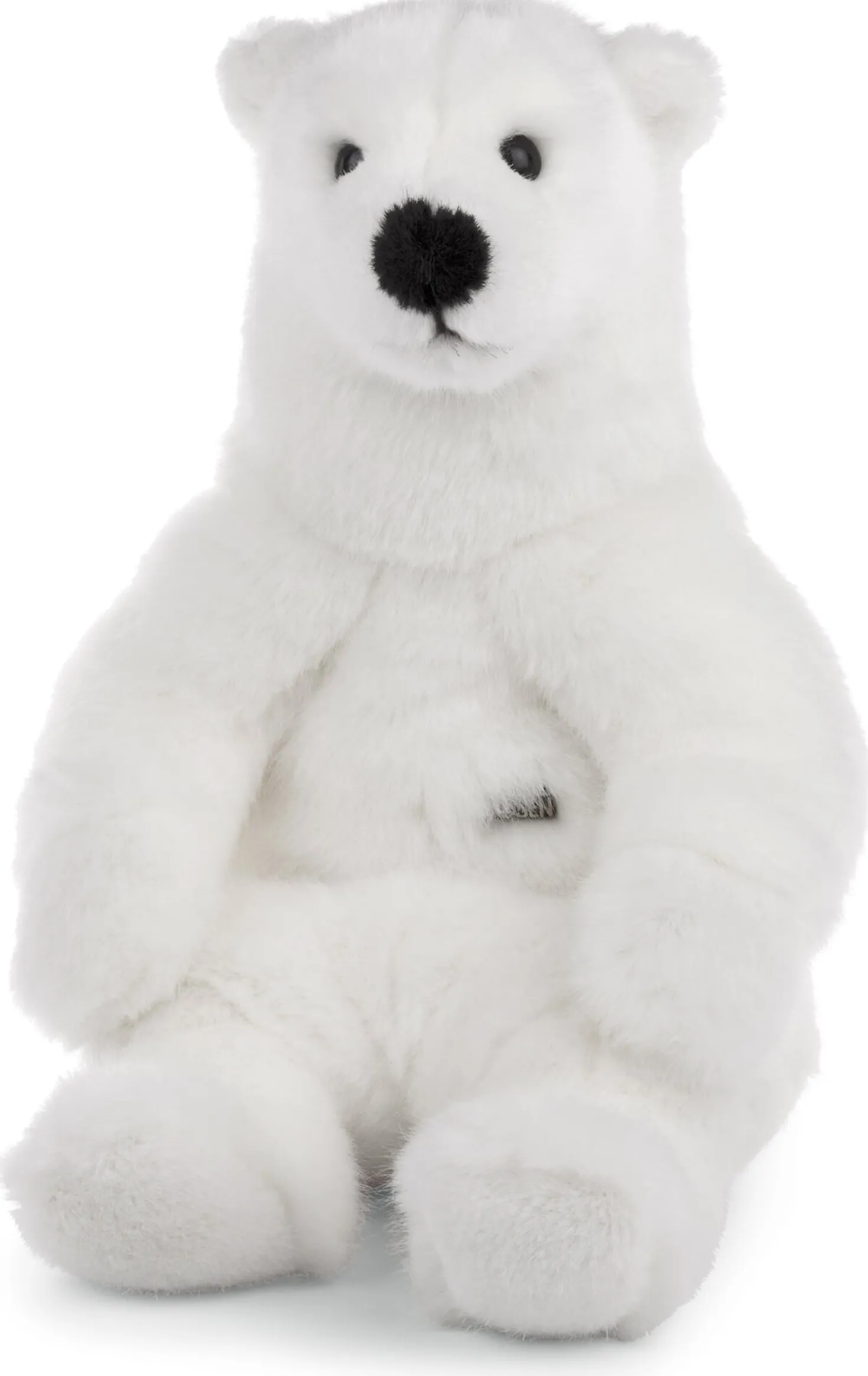 Kösener Eisbär