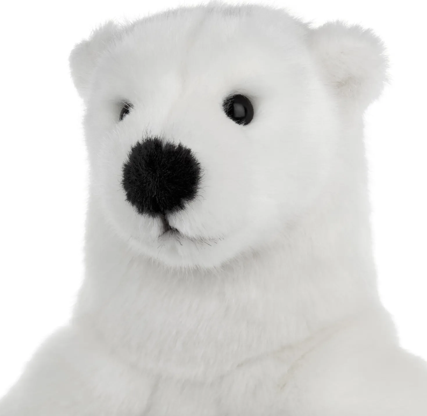 Kösener Eisbär