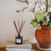 LOOOPS Diffuser