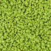 Microgreens Bio-Saatpad