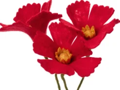 Mohnblumen Filz