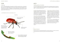 Mord im Nacktschnecken-Milieu