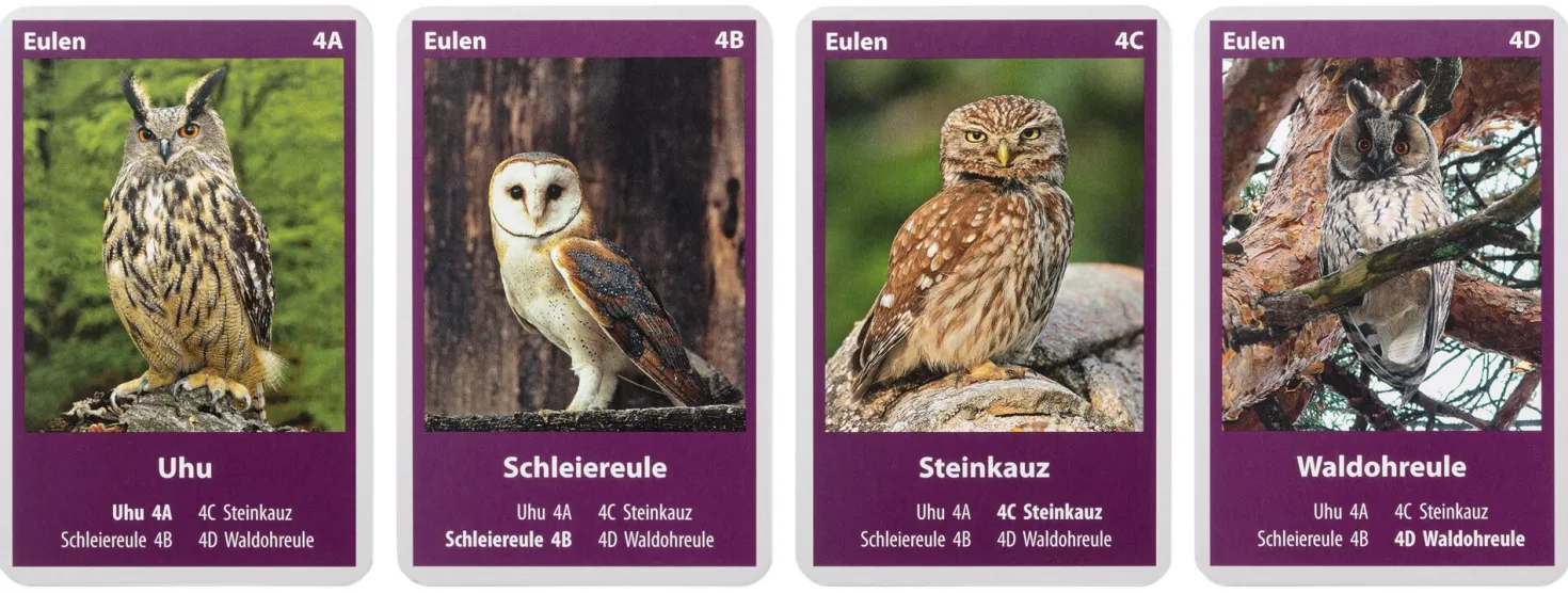 Naturquartett Heimische Vögel