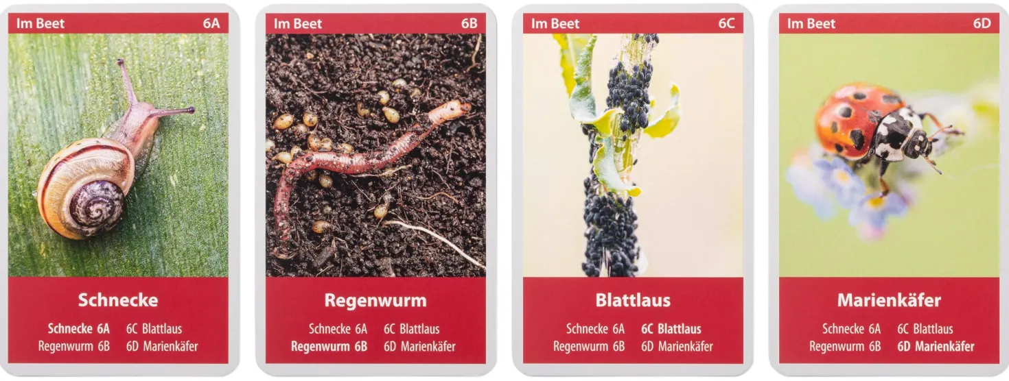 Naturquartett Tiere im Garten