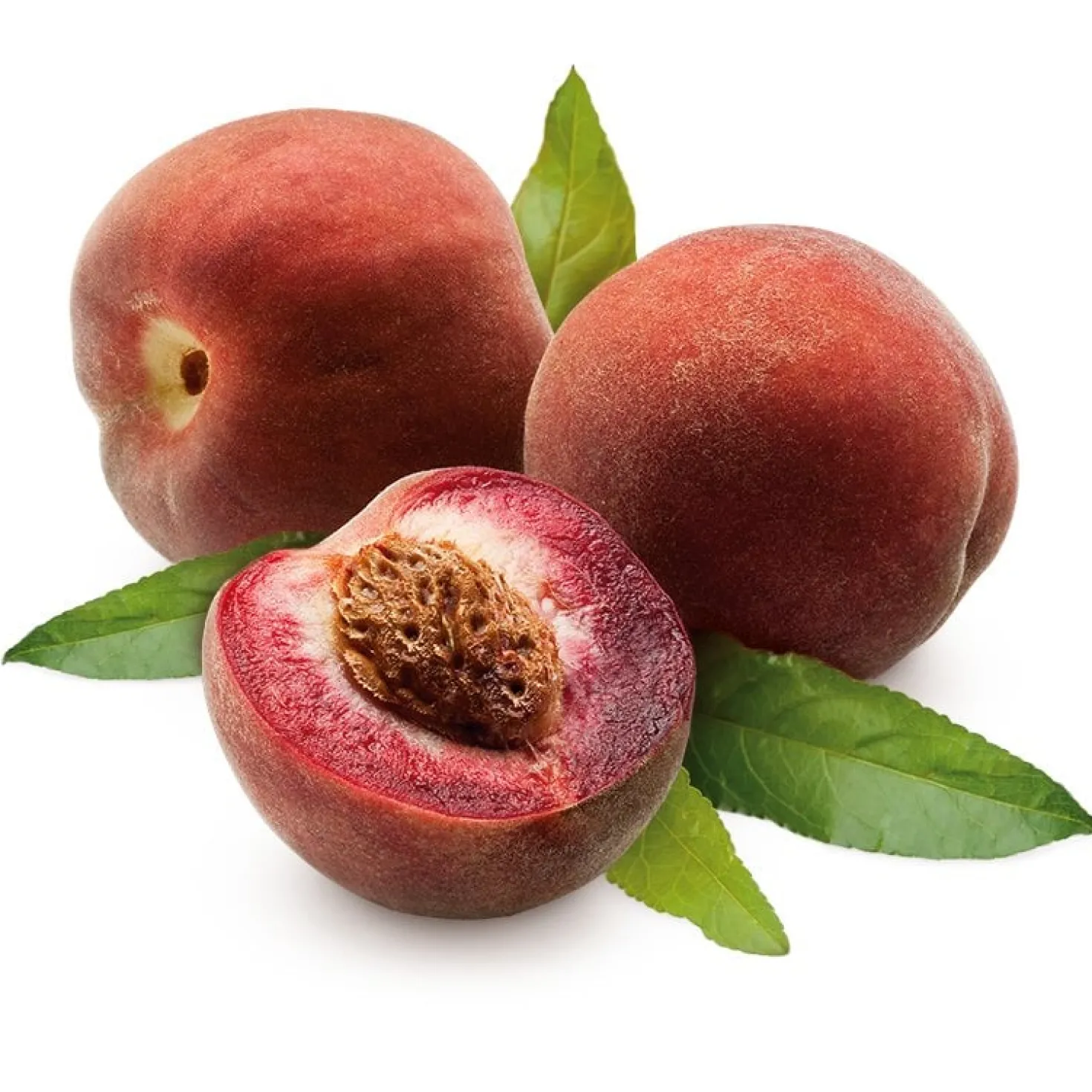 Obstgehölz 'Roter Weinbergpfirsich'