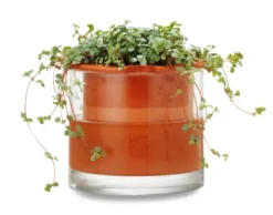 Pflanzgefäß Wet Pot Systems