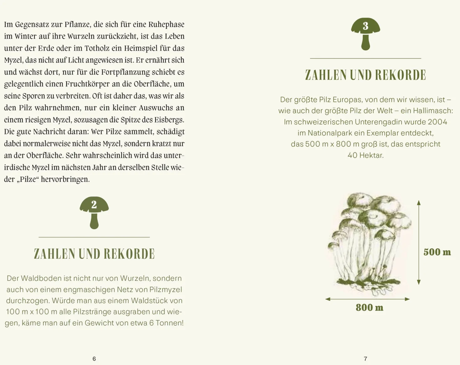 Pilze