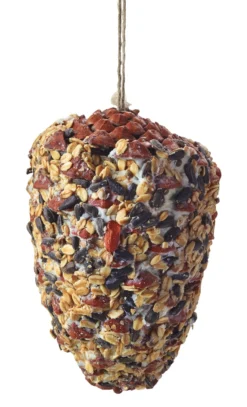 Pinienzapfen Vogelfutter